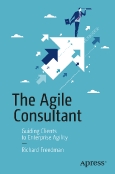 The Agile Consultant